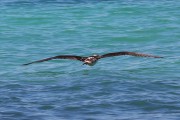 276IMG_1290