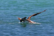 276IMG_1292