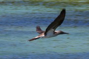 276IMG_1305