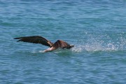 276IMG_1319