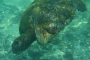 278IMG_1512