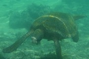 278IMG_1526