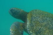 278IMG_1582