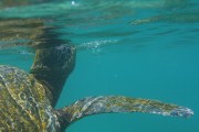 278IMG_1618