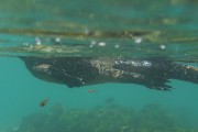 278IMG_1656