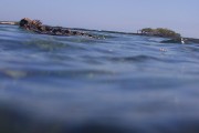 278IMG_1658
