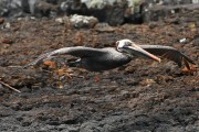 279IMG_2769