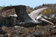 279IMG_2772