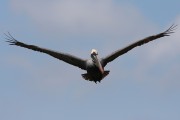 279IMG_2785