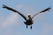 279IMG_2786