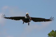 279IMG_2787