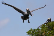 279IMG_2788