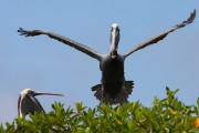 279IMG_2794