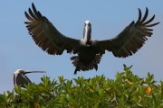 279IMG_2795