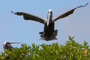 279IMG_2796