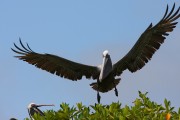 279IMG_2797