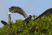 279IMG_2798