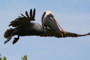 279IMG_2804