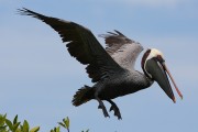 279IMG_2805