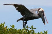 279IMG_2807