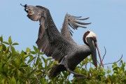 279IMG_2809