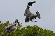 279IMG_2822