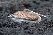 279IMG_2835