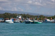 290IMG_0763