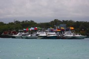 290IMG_1101