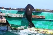 293IMG_0737