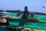 293IMG_0741