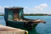 293IMG_0766