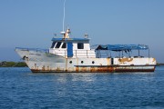 293IMG_0772