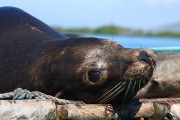 293IMG_0776