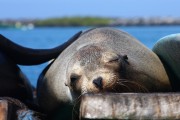 293IMG_0777