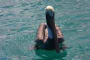 294IMG_0757