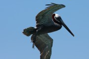 294IMG_0988