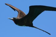 295IMG_0955