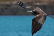 295IMG_1060