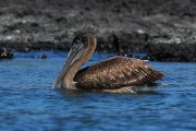 296IMG_1106
