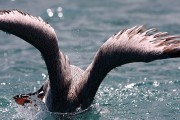 297IMG_1025