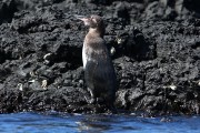 299IMG_1092