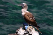 410IMG_3520