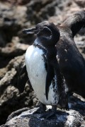 416IMG_3565