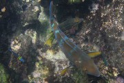 440IMG_3820