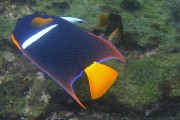 445IMG_3980