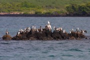 500IMG_1391