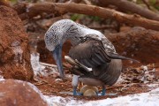 504IMG_4008