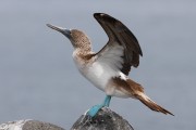 504IMG_4097