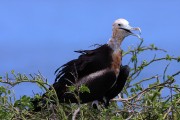 545IMG_4251